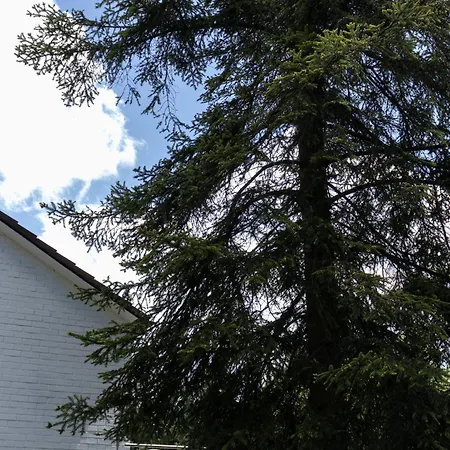 Ruhe-oase Appartement